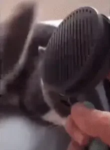 Escova Removedora Pelos