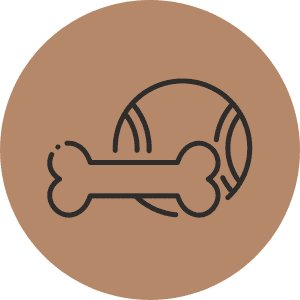 Categoria Brinquedo