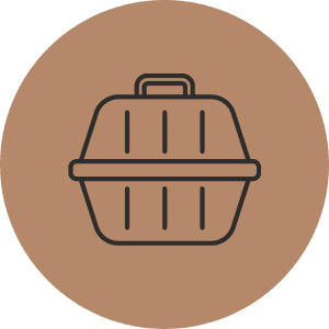 Categoria Transporte